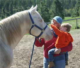 Perlino quarter horse stallion Cowgirl Co-op  Spokane  WA