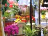 Davenport Flower Shop